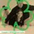 Alanna Giere Pears's profile image