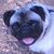 Irene Marsden's profile image
