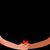 Natalie Wood's profile image