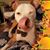 Carolyn Gaines-Sneed's profile image