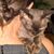 Theresia Riesenhuber's profile image