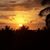 Kimberly Lee- Johnson's profile image