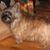 Nancy Cornwell's profile image