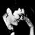Maureen Sullivan's profile image