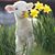 Diana Barbara Triller's profile image