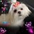 Rosemary Loescher-Sauer's profile image