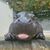 Sheila Moran's profile image