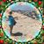 Meghan Gadway's profile image