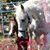 Sandra Onstad's profile image