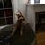 Andrew Pierce's profile image