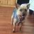 Pepper Brown's profile image