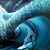 Robb Havassy's profile image
