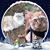 Lynn Greene's profile image