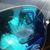 Coba David Baez Hernandez's profile image