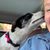 Sheri Resnick-Clark Trimboli's profile image