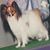 Molly Quin's profile image