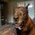 Bill Maurer's profile image