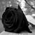 Yumy SJ's profile image
