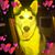 Alan Swales's profile image