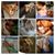 Amy Balbaugh's profile image