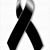 Jose Nunez's profile image