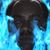 Scott Felgner's profile image