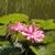 Ericka Embry's profile image