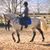 Louise Choblet's profile image