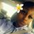 Abrianna Pinkney's profile image