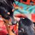 Tamie Day's profile image