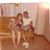 Denise Soltren's profile image