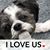Jerona Robinson's profile image