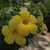 Nancy Schick's profile image