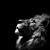 Spencer Starnes's profile image