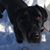 Kerri Gaffney's profile image