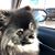 Karen Sablotny-Rudolph's profile image