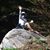 Lynette Tullos's profile image