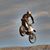 Jeff Stevens's profile image