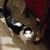 Kay L. Mason's profile image