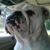 Deborah McIncrow's profile image