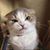 Shanna Lussier's profile image