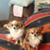 Linda Keith Moore's profile image