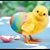 Christine White's profile image