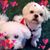 Linda Marcum's profile image
