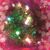Stephanie Van Slambrouck's profile image