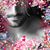 Damian Black's profile image