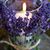 Brenda Andrade-becker's profile image