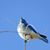 Cheri Suydam's profile image