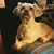 Rachel Vann-Foster's profile image