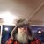 Cary Janzen's profile image